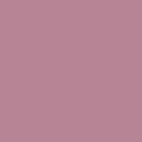 Blush Pink & Pure White Valentina Long Lasting Nail Color Combo Pack