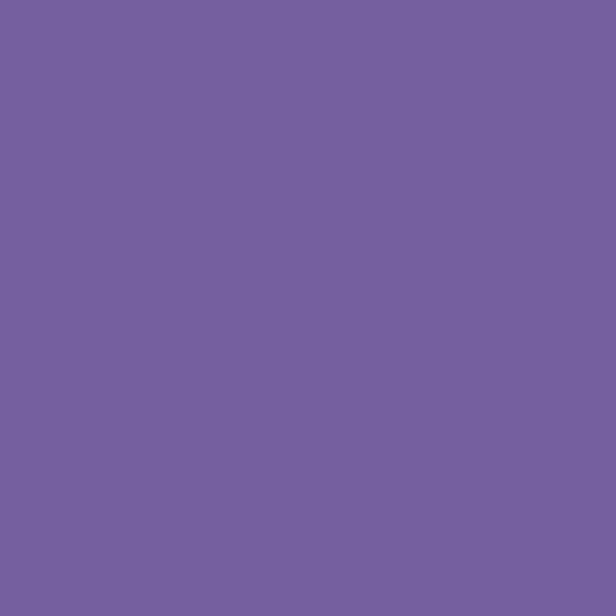 Muted Purple & Pure White Valentina Long Lasting Nail Color Combo Pack