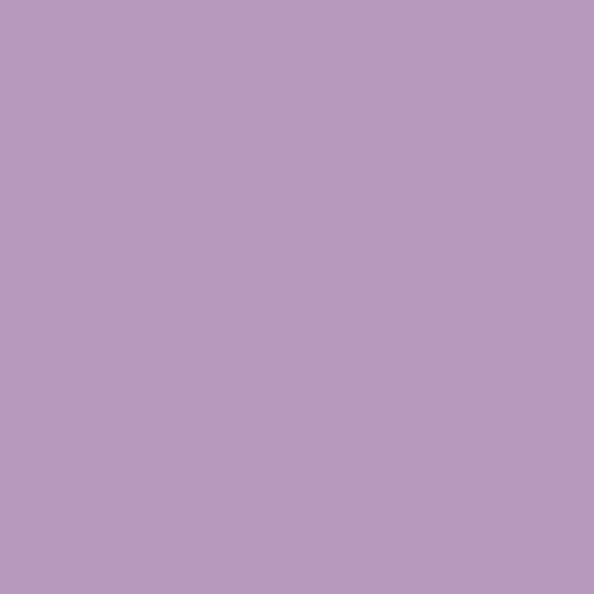 Muted Pink & Pure White Valentina Long Lasting Nail Color Combo Pack