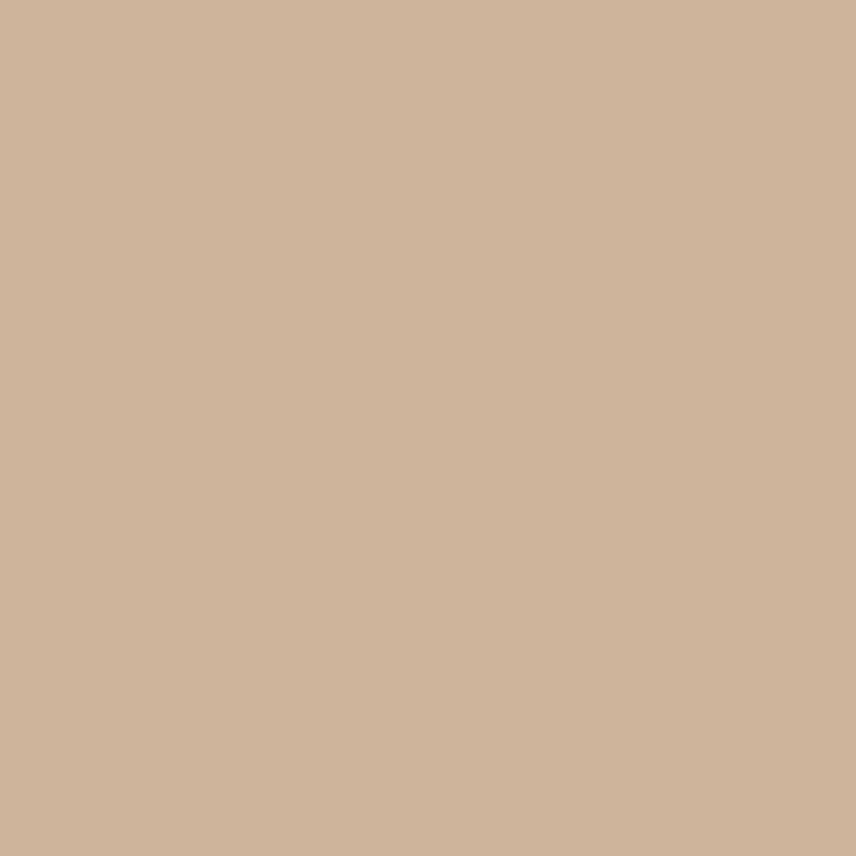 Soft Gold & Pure White Valentina Long Lasting Nail Color Combo Pack